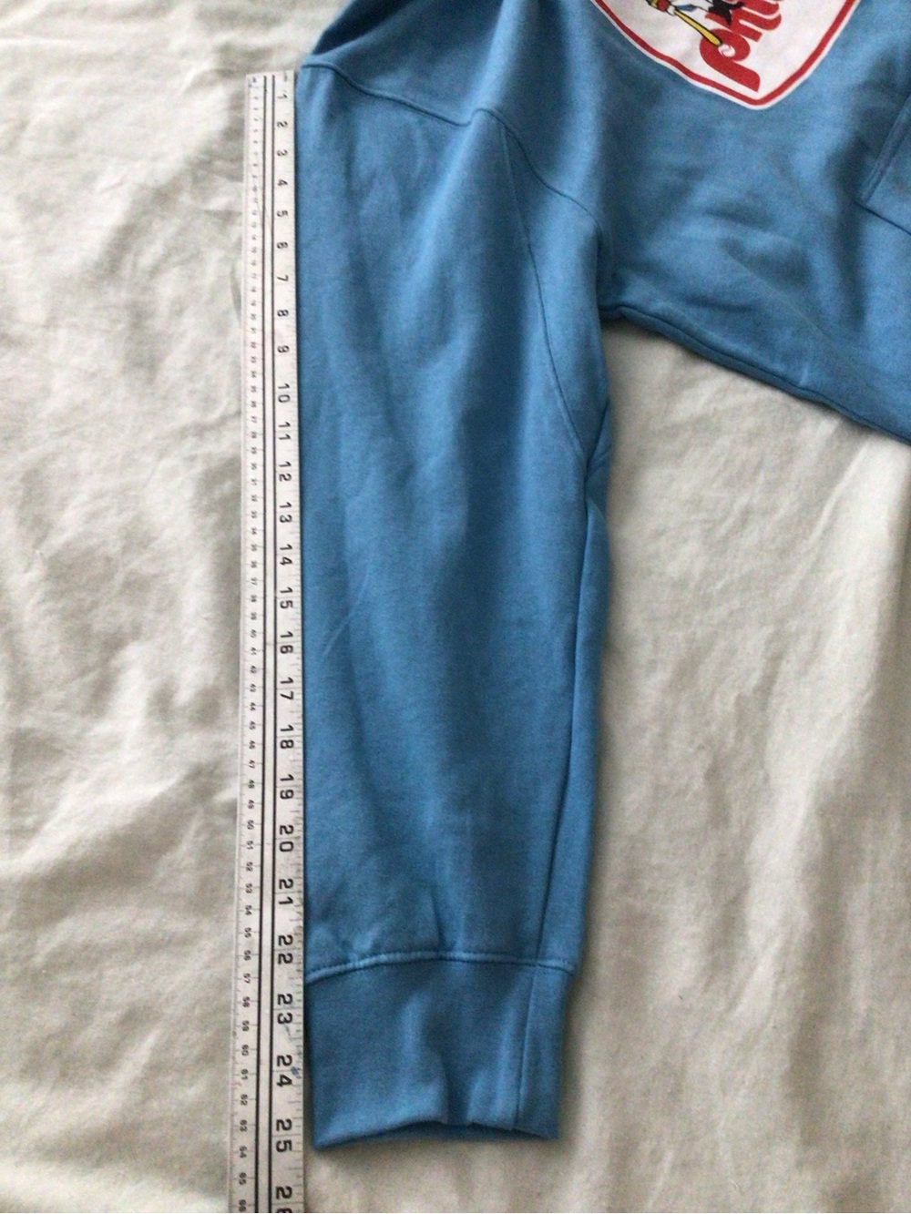 Philadelphia Phillies Phil & Phillis Powder Blue Hoodie by Stitches - L - Picture 7 of 9
